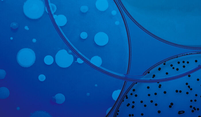 the skin microbiota the key for healthy, radiant skin - Natura Bissé