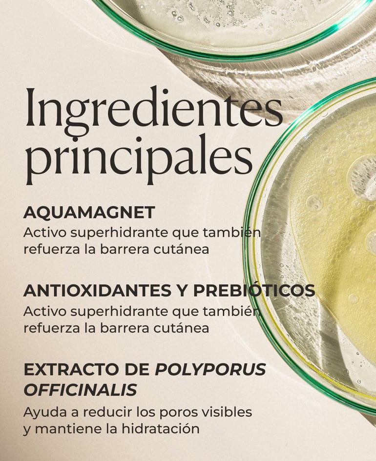 AquaMagnet Activo superhidrante que también refuerza la barrera cutánea   Antioxidantes y prebióticos Aportan una acción anti radicales libres y cuidan la flora cutánea  Extracto de Polyporus officinalis 