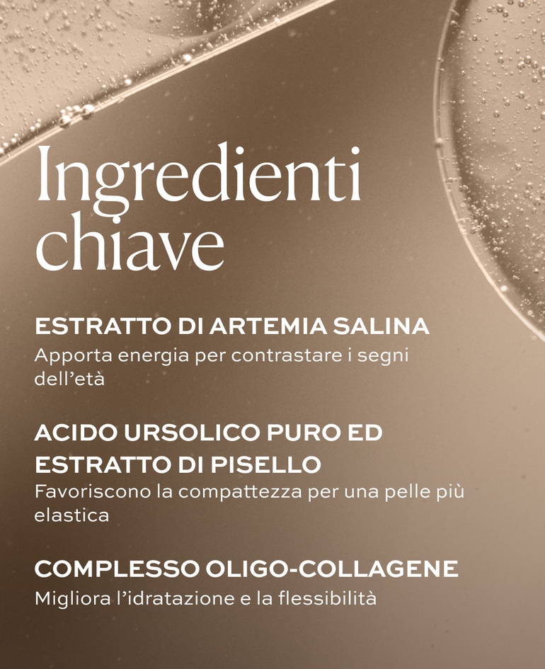 ESTRATTO DI ARTEMIA SALINA Apporta energia per contrastare i segni dell&rsquo;et&agrave;  ACIDO URSOLICO PURO ED ESTRATTO DI PISELLO Favoriscono la compattezza per una pelle pi&ugrave; elastica  COMPLESSO OLIGO-COLLAGENE Migliora l&rsquo;idratazione e la flessibilit&agrave;
