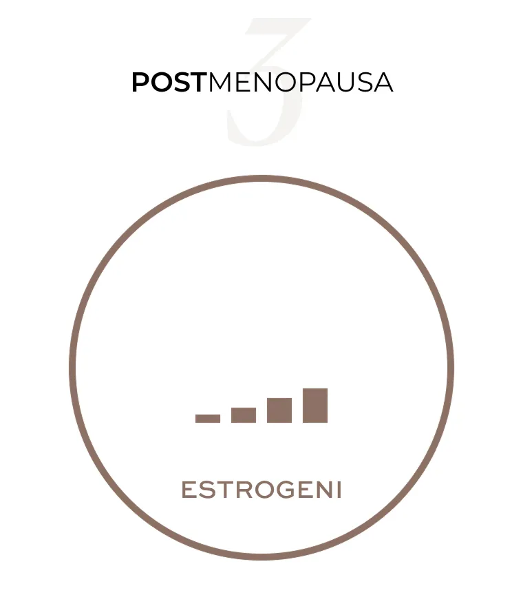 stage 3