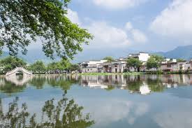 Banyan Tree Yellow Mountain